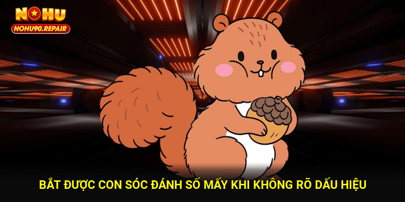 Bắt được con sóc đánh số mấy khi không rõ dấu hiệu