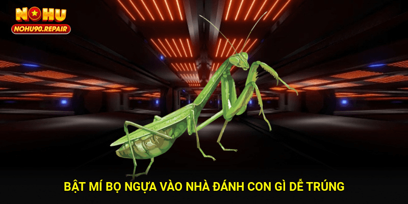 Bật mí bọ ngựa vào nhà đánh con gì dễ trúng