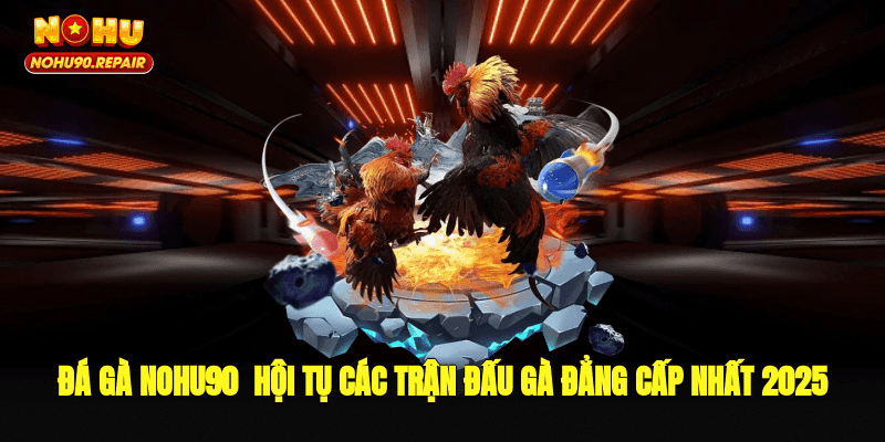Đá Gà Nohu90 - Hội Tụ Các Trận Đấu Gà Đẳng Cấp Nhất 2025