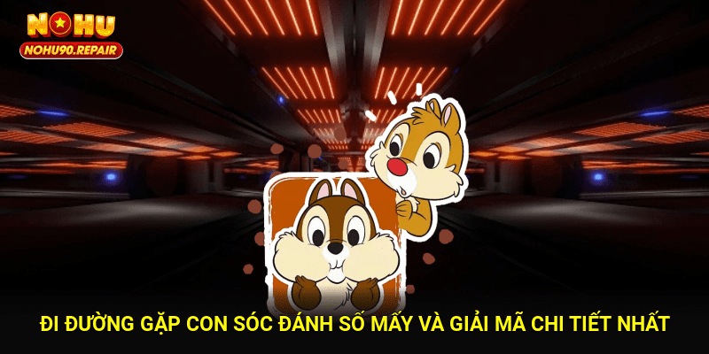 Đi Đường Gặp Con Sóc Đánh Số Mấy Và Giải Mã Chi Tiết Nhất