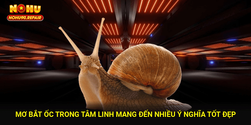 Mơ bắt ốc trong tâm linh mang đến nhiều ý nghĩa tốt đẹp