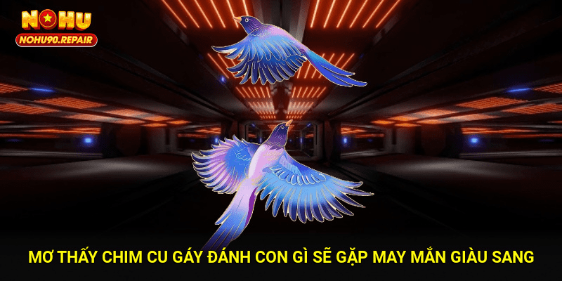 Mơ Thấy Chim Cu Gáy Đánh Con Gì Sẽ Gặp May Mắn Giàu Sang