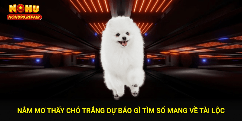 Nằm Mơ Thấy Chó Trắng Dự Báo Gì? Tìm Số Mang Về Tài Lộc