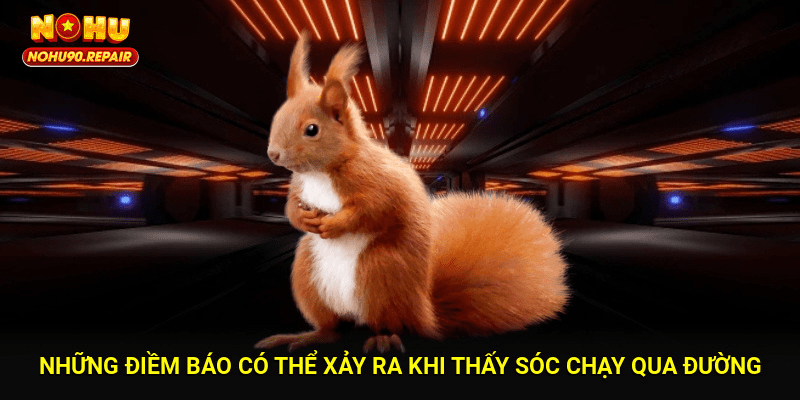 Những điềm báo có thể xảy ra khi thấy sóc chạy ngang qua đường