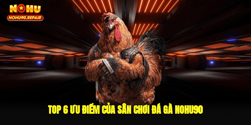 Top 6 ưu điểm của sân chơi đá gà Nohu90